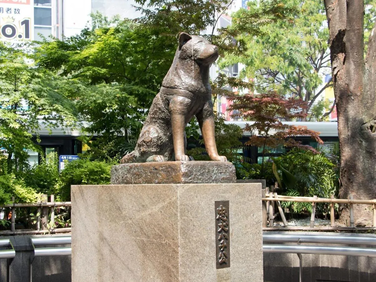 New! Times Square Shibuya Kamiyama Inn Af24 도쿄 일본